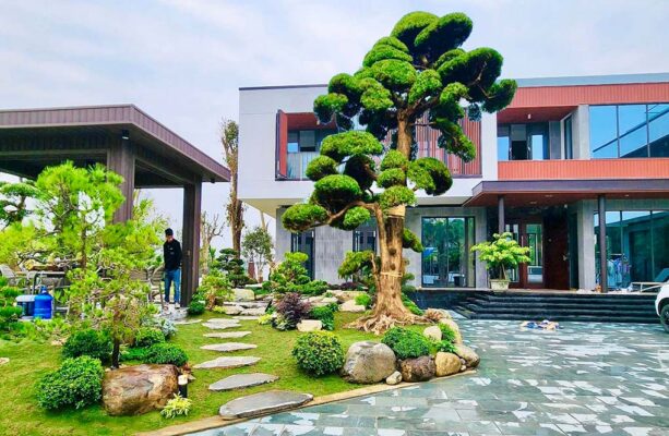 Đá xanh rêu lát sân vườn