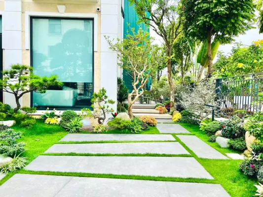 Đá xanh rêu bước dạo