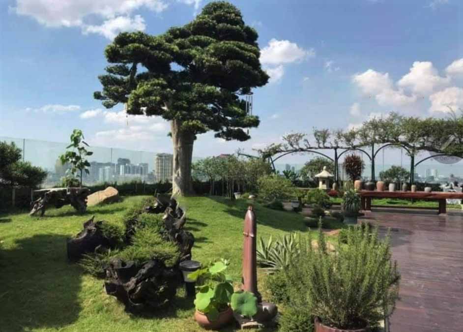 Sân vườn trên mái Sân vườn trên mái
